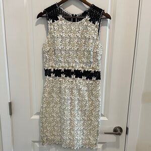 Aqua Elegant Black and Cream Lace Dress